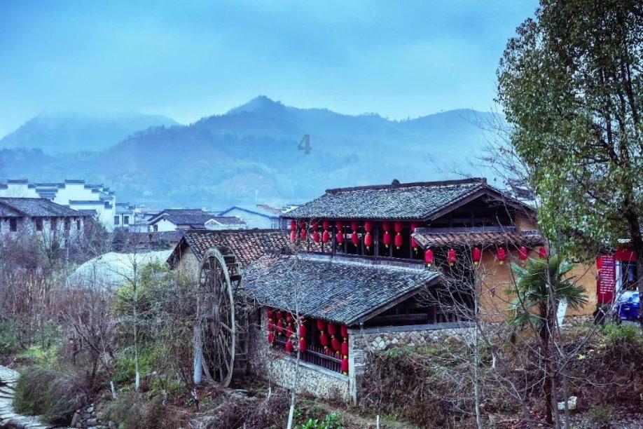 拯救红松鼠